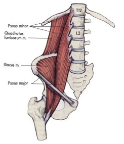 The Psoas: A few podcasts to support your practice