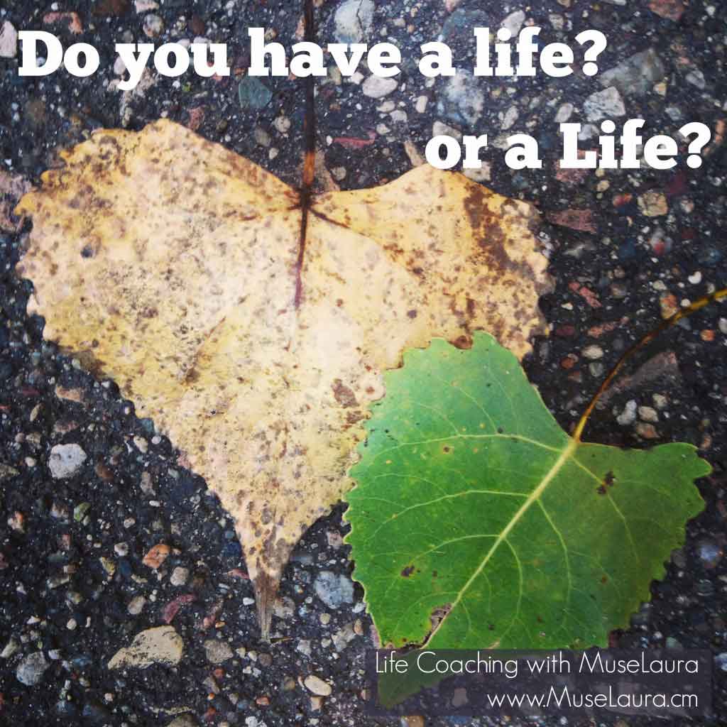 Do you have a life? | Life Coaching with MuseLaura
