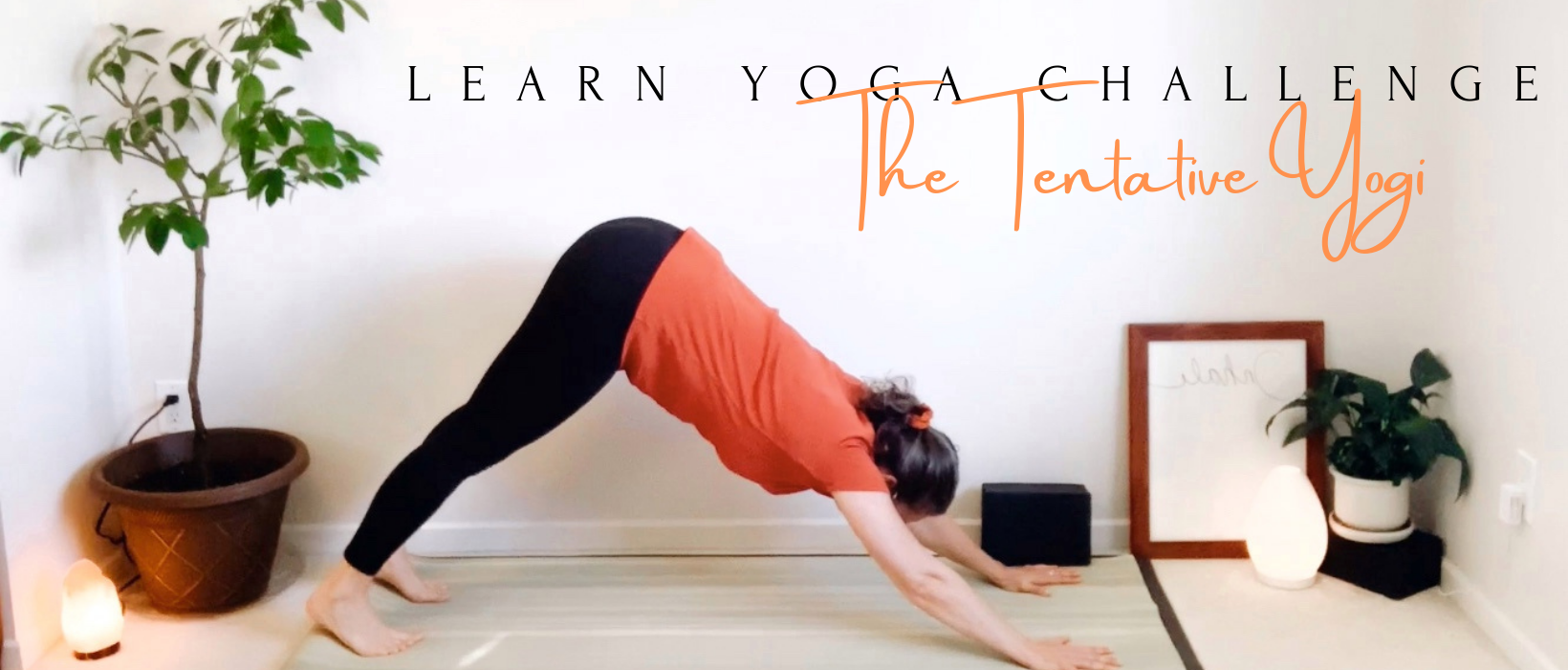 Let's Learn Yoga!