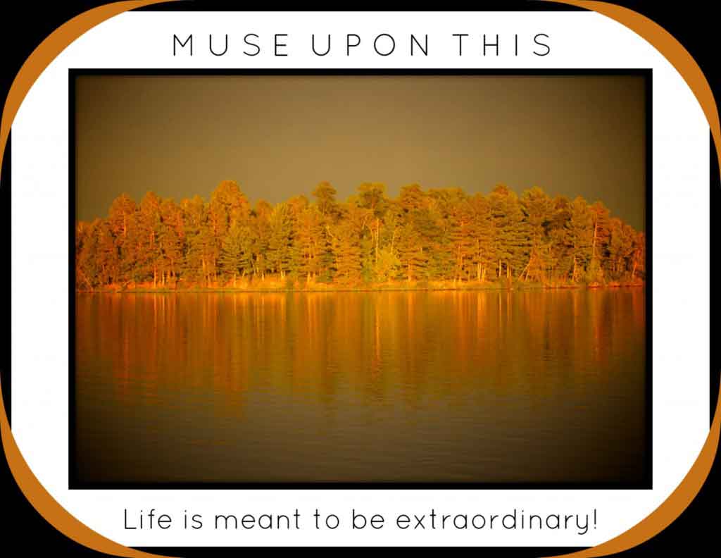 Musing: Life Coaching with MuseLaura