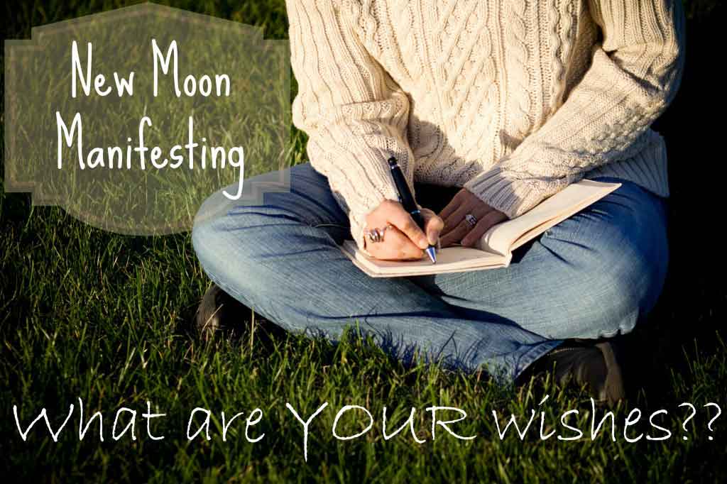New Moon Manifesting | Life Coaching with MuseLaura