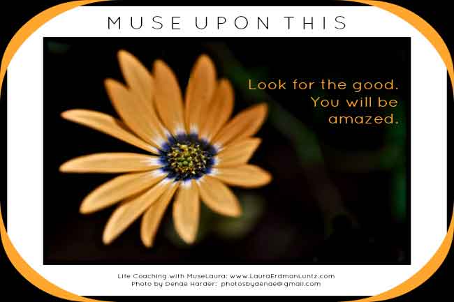 Musing: Look for the Good | Life Coaching with MuseLaura