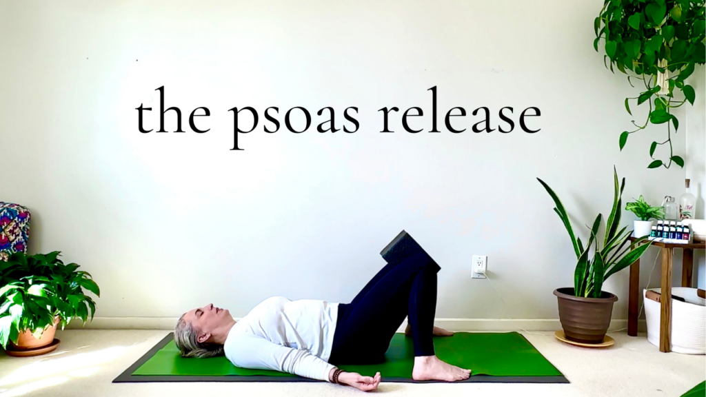 The Psoas Workshop | Yoga with Laura