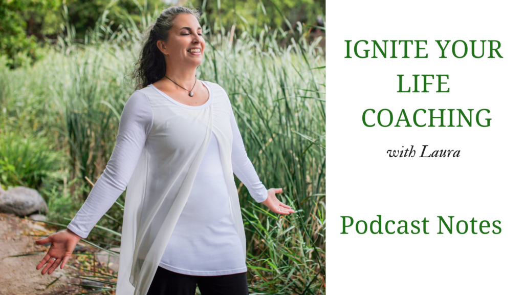 Ignite Your Life Podcast with Laura Erdman-Luntz