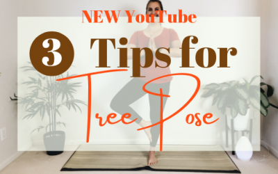 NEW YouTube: 3 Tips to Better Align Tree Pose