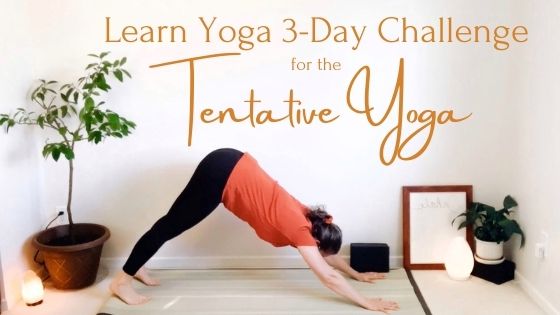 3-Day Challenge: Learn Yoga - MuseLaura