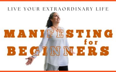 YouTube: Manifesting for Beginners