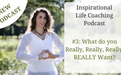 Podcast #3: What do you Really, Really, Really, REALLY Want?