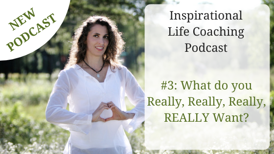 Podcast #3: What do you Really, Really, Really, REALLY Want?