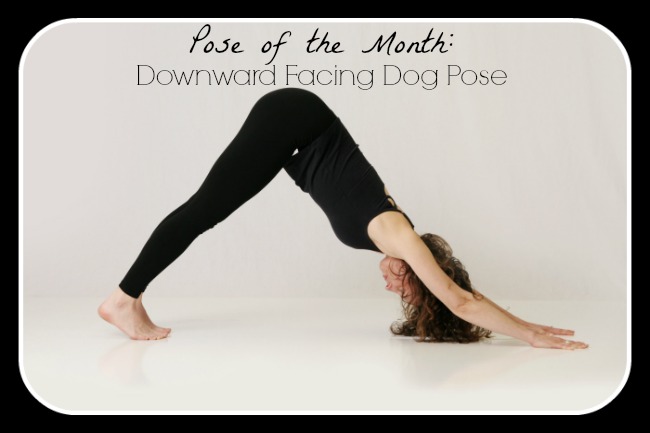 Study Points: Adho Mukha Svanasana (Downward Facing Dog Pose)