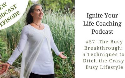 Podcast #57: The Busy Breakthrough:  5 Techniques to  Ditch the Crazy  Busy Lifestyle