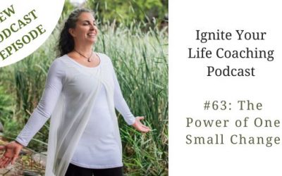 Podcast  #63: The Power of One Small Change