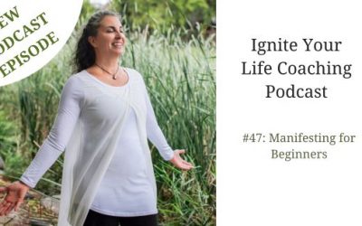 Podcast #47: Manifesting for Beginners