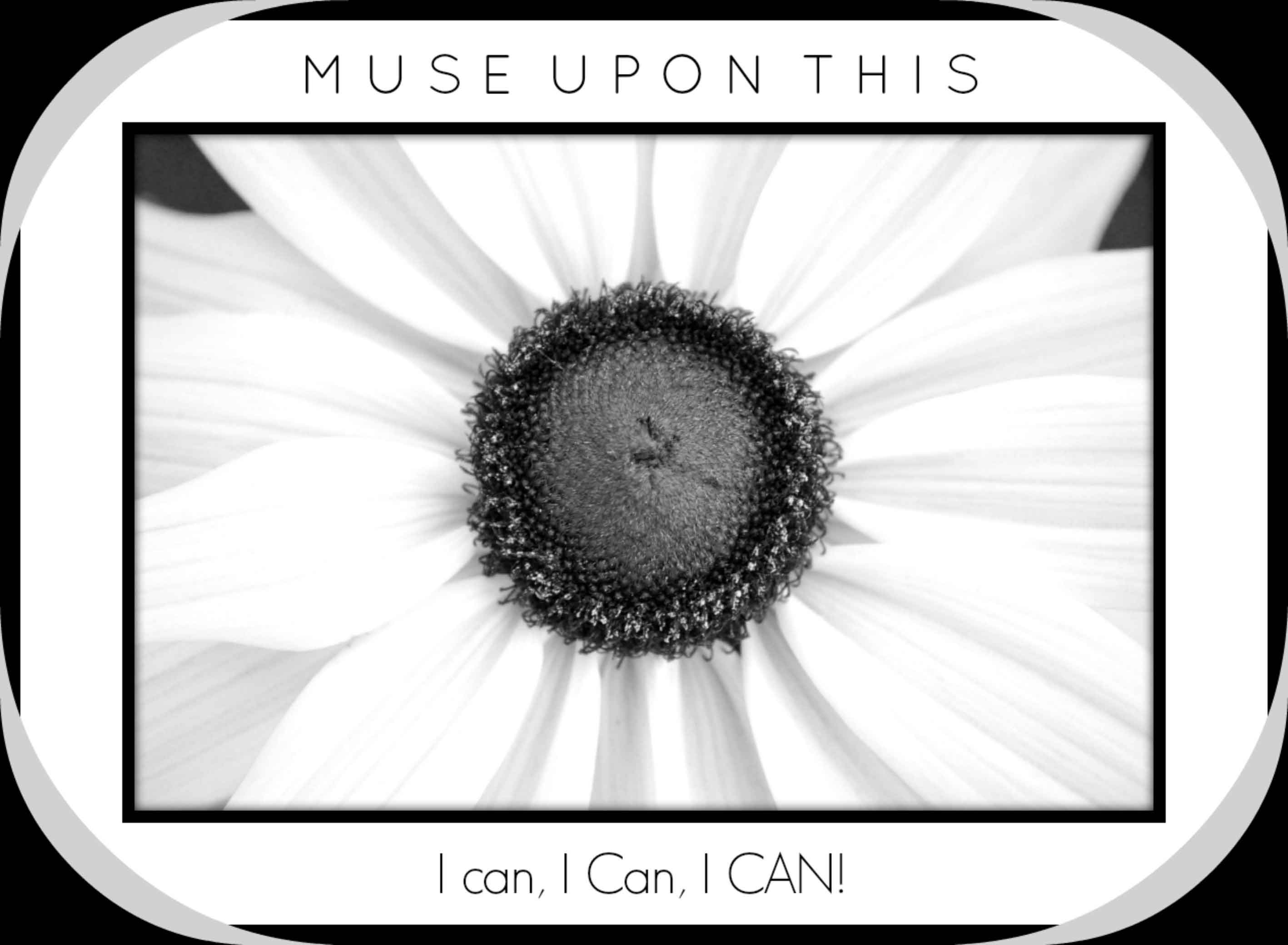 Monday Morning Musing: I can, I caN, I CAN!!
