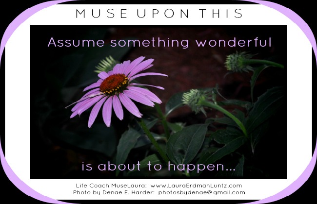 Monday Morning Musing: Assume something wonderful is about to happen